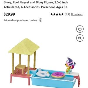 Bluey pool play set